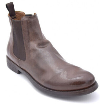 Boots Officine Creative  hive 007