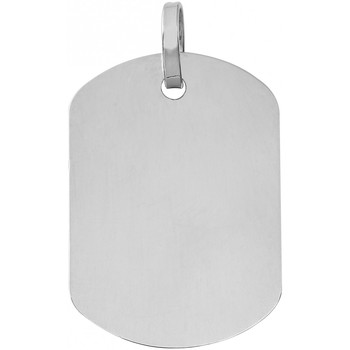 Pendentifs Brillaxis  Pendentif plaque GI bords arrondis - Brillaxis