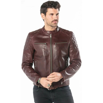 Veste Daytona  COBALT COW SEMI VEG BORDO