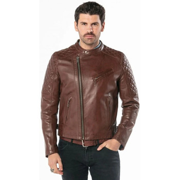 Veste Daytona  TRUCKSTON COW VEG DARK COGNAC