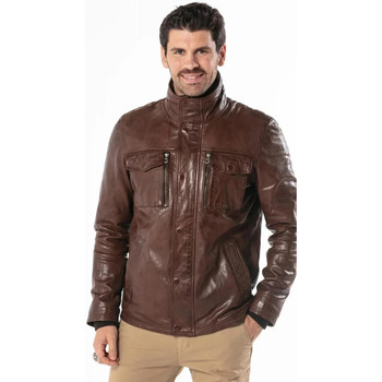 Veste Daytona  ANDERSON IC SHEEP TIGER BISON