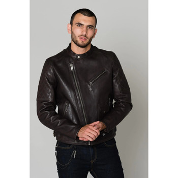 Veste Daytona  GREENWISH COW VEG DARK BROWN