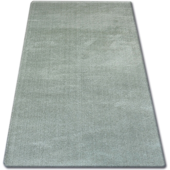 Tapis Rugsx  Tapis SHAGGY MICRO vert 240×330 cm