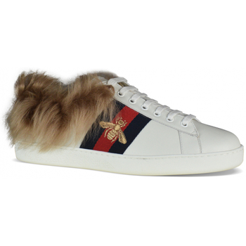 Bottes Gucci  Sneakers Ace