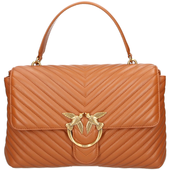 Sac Bandouliere Pinko  100042a0gk-l58q