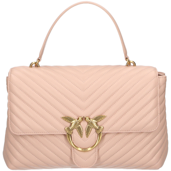 Sac Bandouliere Pinko  100042a0gk-o81q