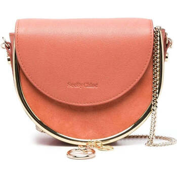 Pochette See by Chloé  mara evening clutch