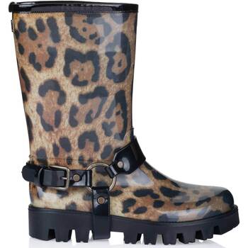 Bottes D&G  Botte