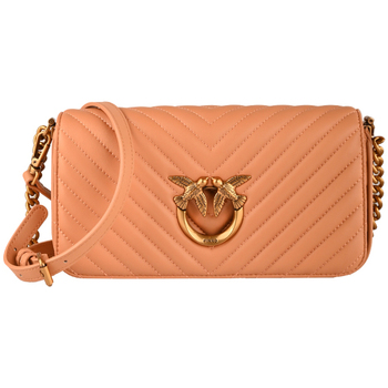 Sac Bandouliere Pinko  100068_a0gk-c71q