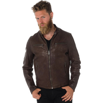 Veste Daytona  TRITON COW VEG  DARK BROWN