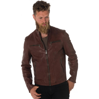 Veste Daytona  TRITON COW VEG BRANDY