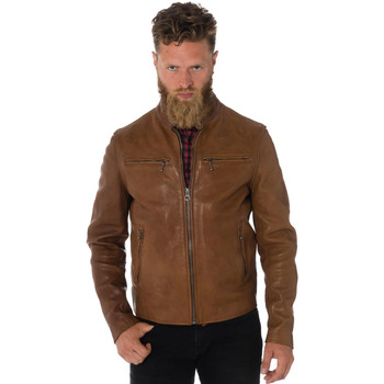 Veste Daytona  TRITON COW VEG GOLD