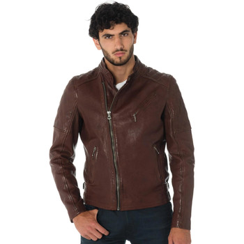 Veste Daytona  TRUCKSTON COW VEG BRANDY