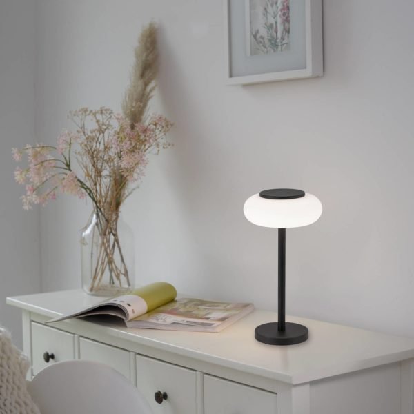 Q-Smart-Home Paul Neuhaus Q-ETIENNE lampe à poser LED, noire Q-Smart-Home