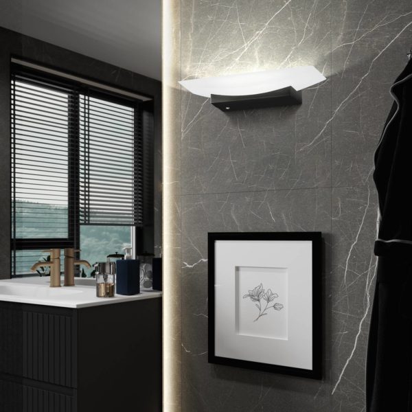 FISCHER & HONSEL Applique LED Bowl TW, CCT largeur 30 cm, noire FISCHER & HONSEL