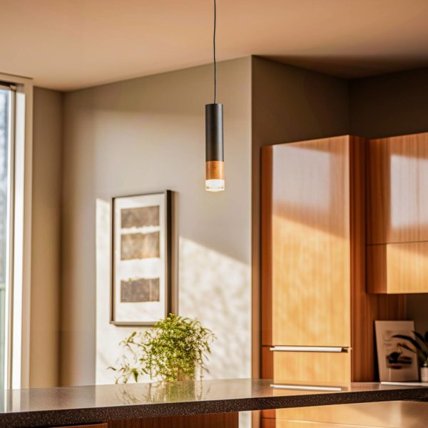 Envostar Fida suspension, à 1 lampe, noire Envostar