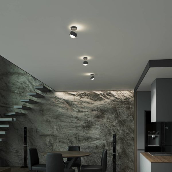 Top Light Puk! 80 Turn up/downlight, mate, anthracite Top Light