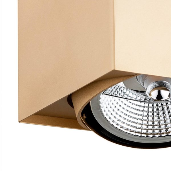 Argon Spot pour plafond Riesta, doré, à 2 lampes Argon