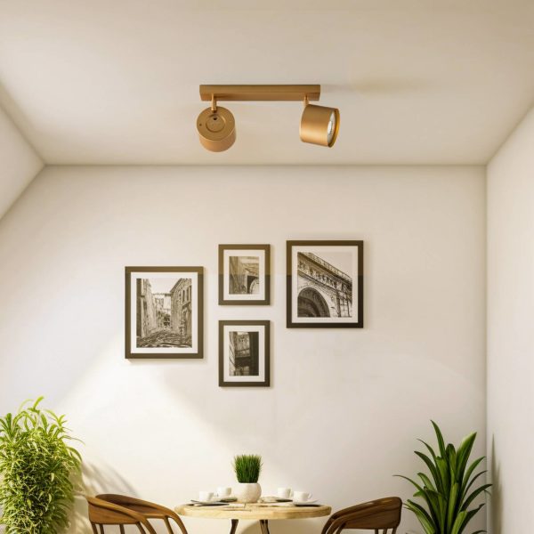 Argon Spot pour plafond Chloe réglable à 2 lampes, doré Argon
