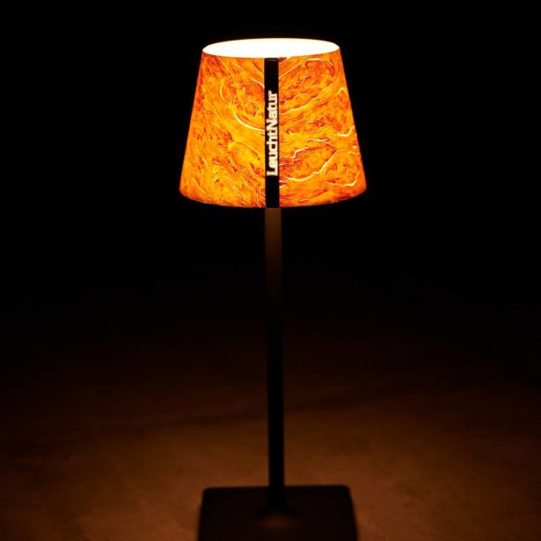 LeuchtNatur Luxa II