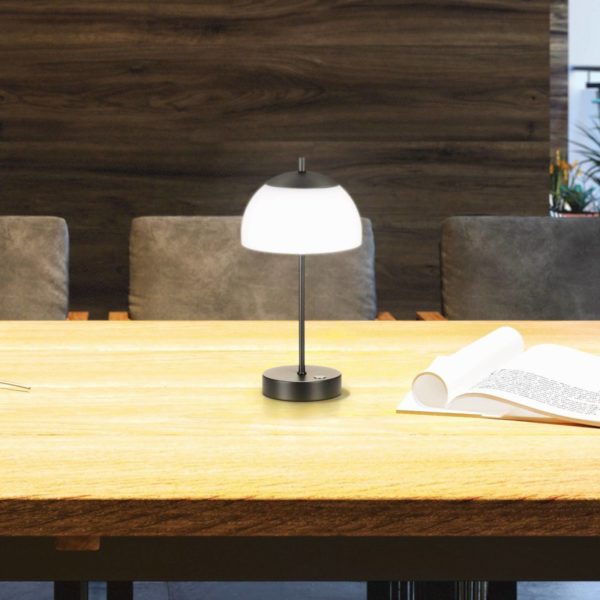 FH Lighting Lampe de table LED à accu Riva, noir, CCT, intensité variable, hauteur 35cm FH Lighting
