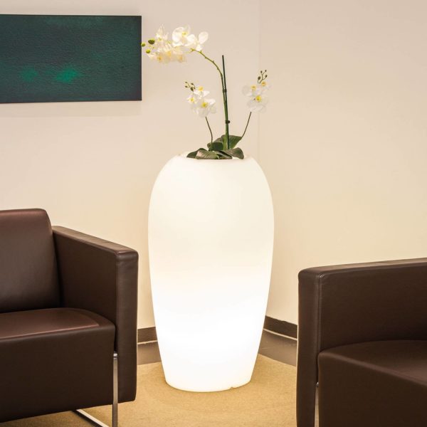 degardo Lampe Storus V pour plantes, blanc transparent degardo