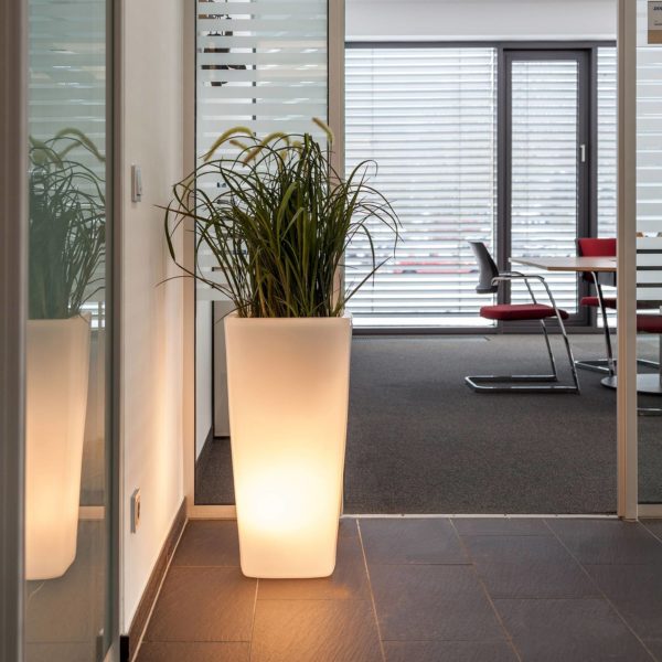 degardo Lampe Trevia V pour plantes, blanc transparent degardo