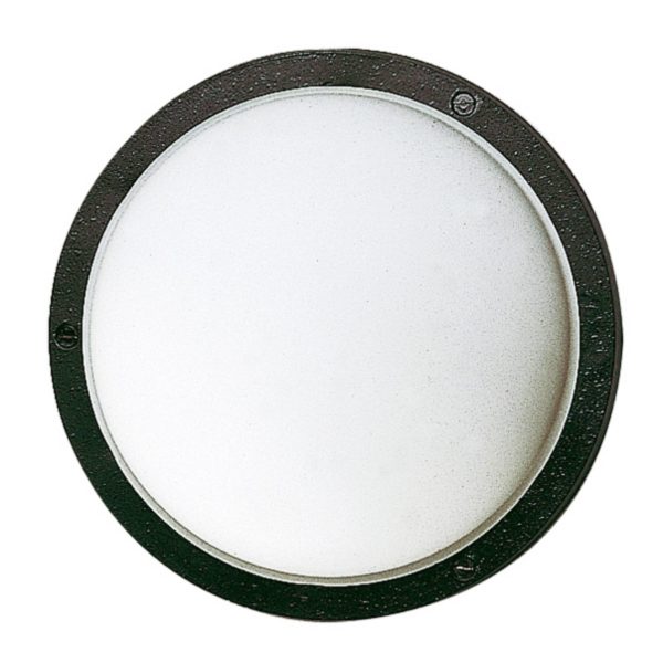 Albert Leuchten Applique / plafonnier d’extérieur 297 noir, E27 Albert Leuchten