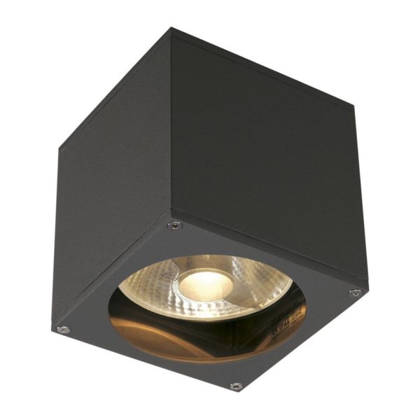 SLV Big Theo applique d’extérieur, 1 lampe, anthracite SLV