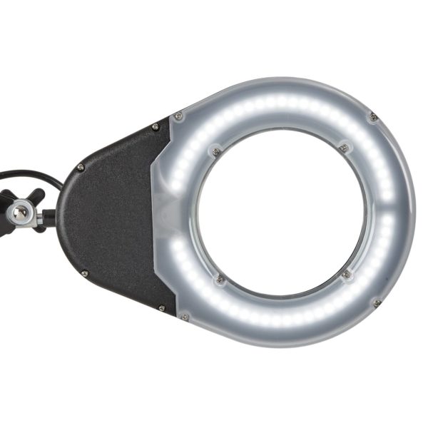Lampe à loupe LED MAULviso avec pince, noire Maul