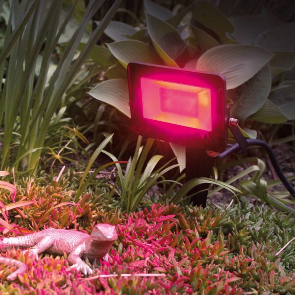 Megatron Projecteur d’extérieur LED MT69070, RGBW Megatron