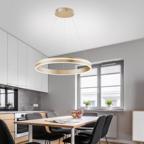 Q-Smart-Home Paul Neuhaus Q-VITO suspension LED, 1 anneau Q-Smart-Home