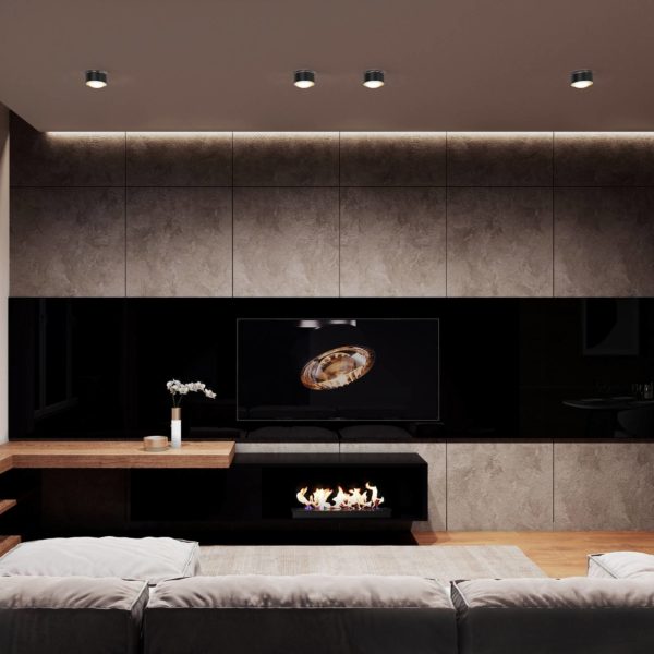 Top Light Puk Maxx One 2 spot LED lentille claire, anthracite mat Top Light