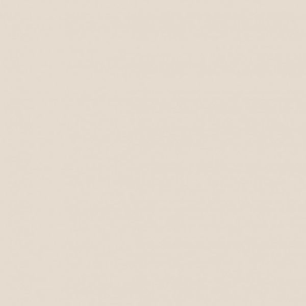 Carrelage Unicolore Clair 60×120 Mat Parigi – INSTAHOUSE