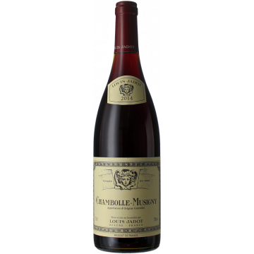 Magnum Chambolle Musigny 2014 – Louis Jadot