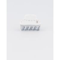 REGATE – Alexandre de Paris