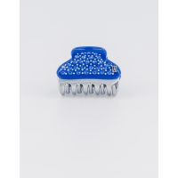 REGATE – Alexandre de Paris