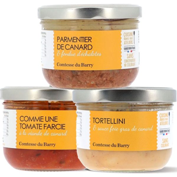 Lot de 3 plats individuels-Comtesse du Barry