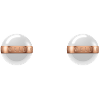 Daniel Wellington DW Aspiration Earrings One Size Rose Gold