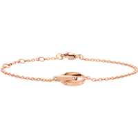 Daniel Wellington DW Classic Unity Lumine 155-185 mm Rose Gold