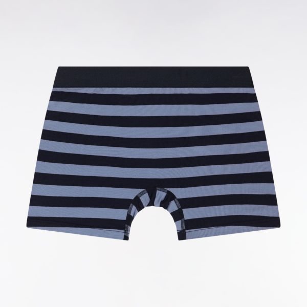 Lot De Deux Boxers Unis Et Cerclés En Jersey De Coton Stretch Marine Et Gris Eden Park