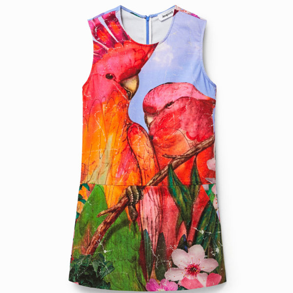Robe chasuble perroquets – Desigual