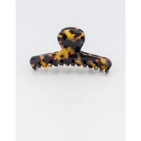 RASPAIL – Alexandre de Paris