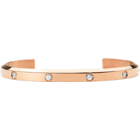 Daniel Wellington DW Classic 155mm Rose Gold