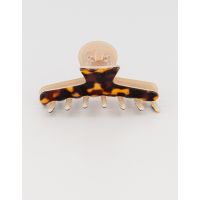 ÉVANESCENCE – Alexandre de Paris